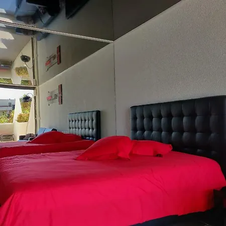 スタジオ ナトゥリスト デザイン *